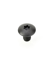 Torx Screws