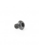 Torx Screws